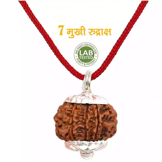 SevenBless Rudraksha: 7 Mukhi Rudraksha for Divine Energy